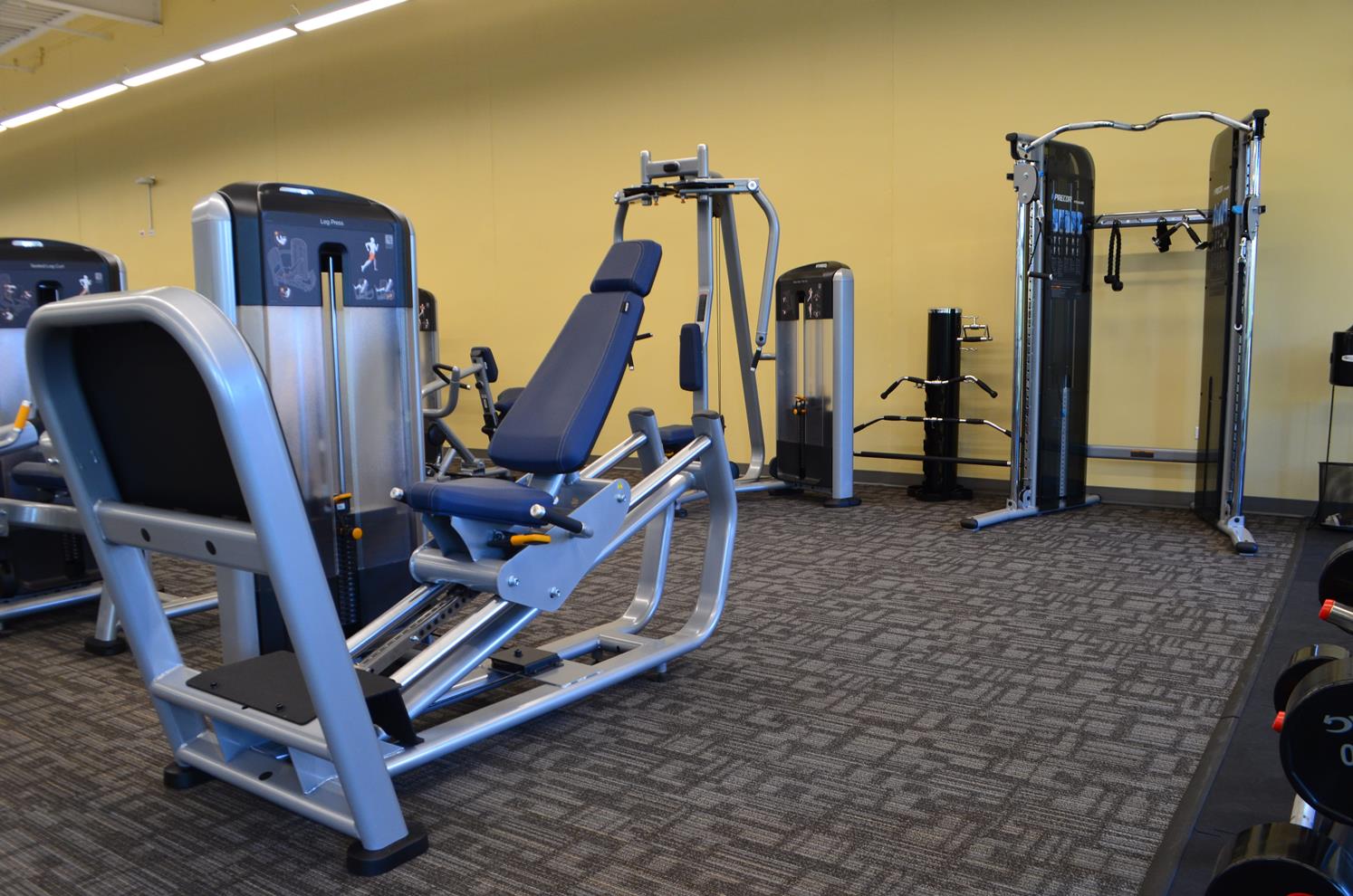 Various Body Exercise Equipment